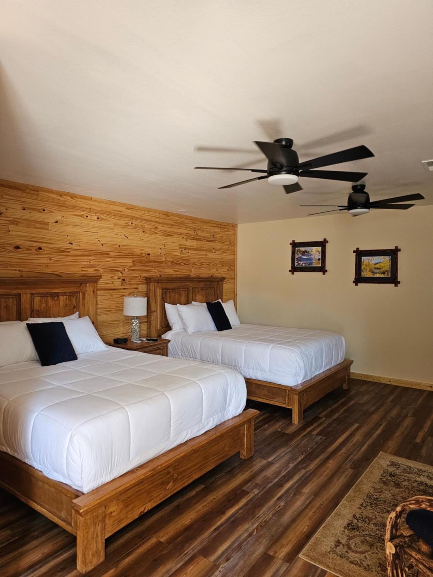 Camping Snowy Peaks Rv Park Buena Vista